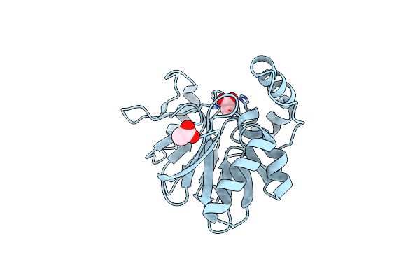 3T9M image