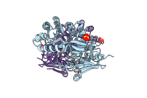 3T9P image