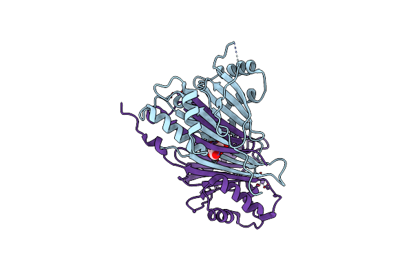 3T9Q image