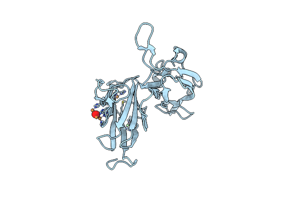 3T9W image
