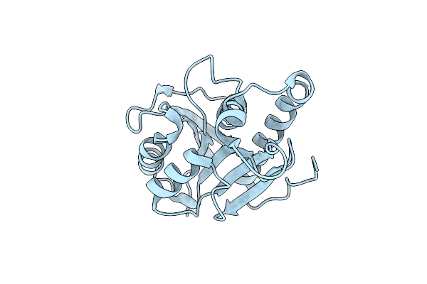 3TCK image