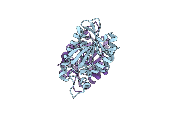 3TCN image