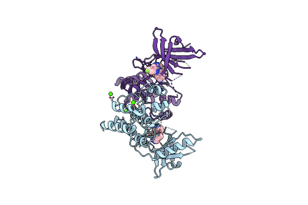 3TCP image