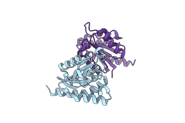 3TCR image
