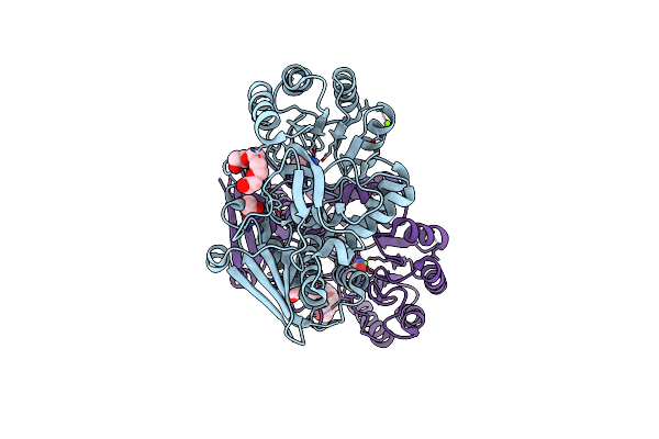 3TCS image