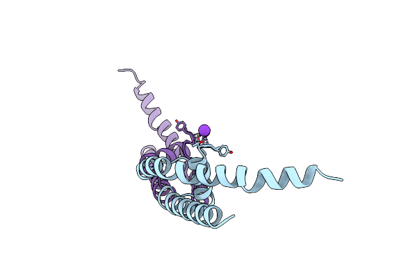 3TCU image