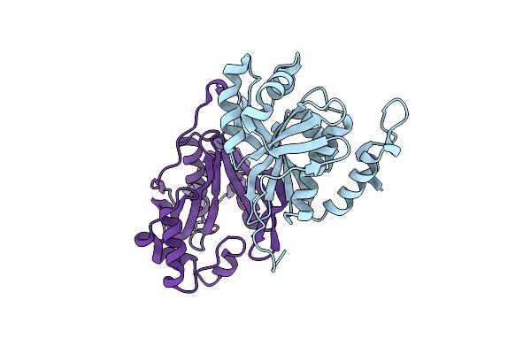 3TCV image