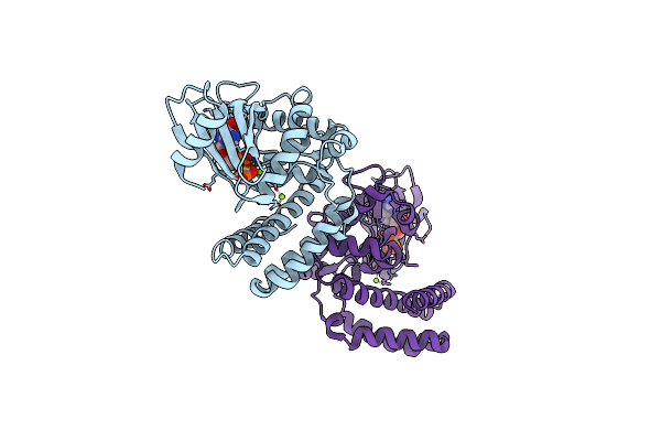 3TDV image
