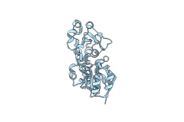 3TEF image