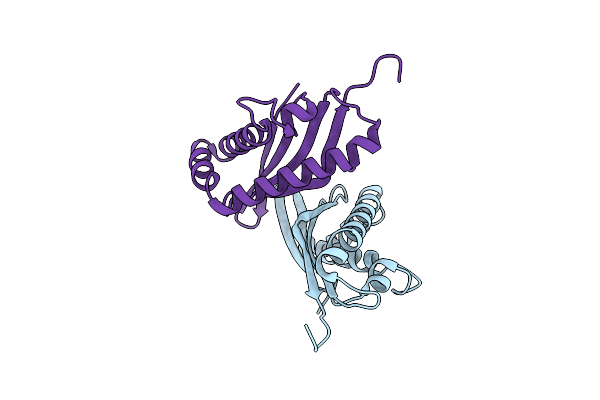 3TEK image