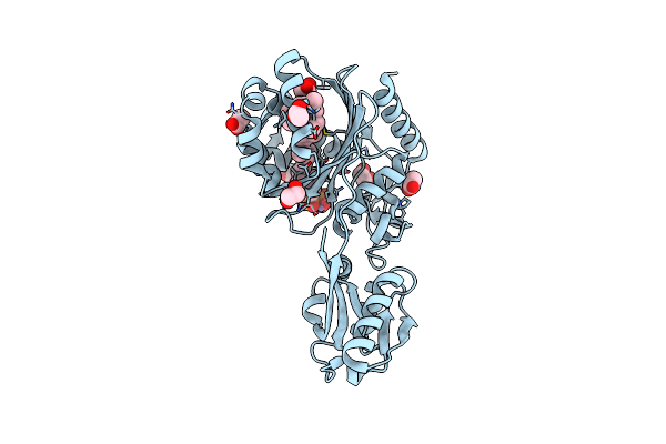 3TEL image