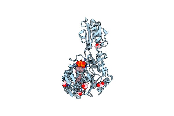 3TFL image