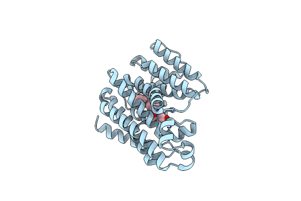 3TFN image