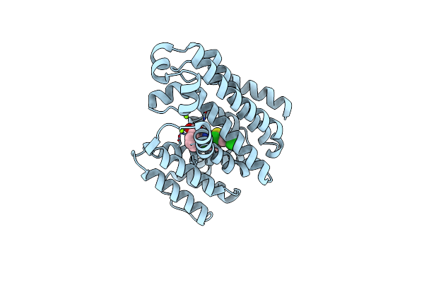 3TFP image