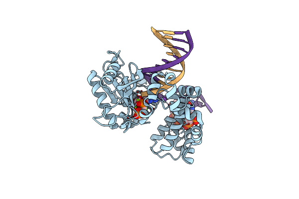 3TFS image