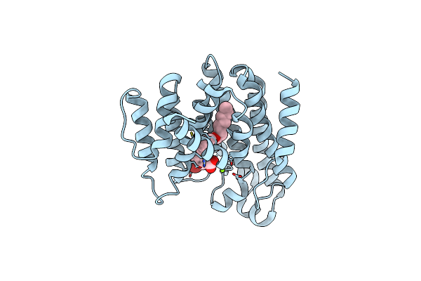 3TFV image