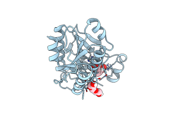 3TG2 image