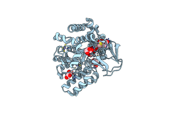 3TG4 image