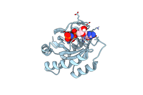 3TGP image