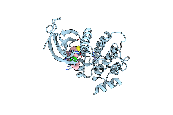 3THB image