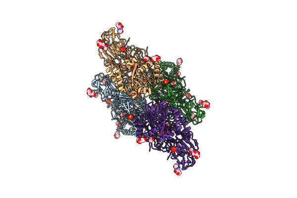 3THD image