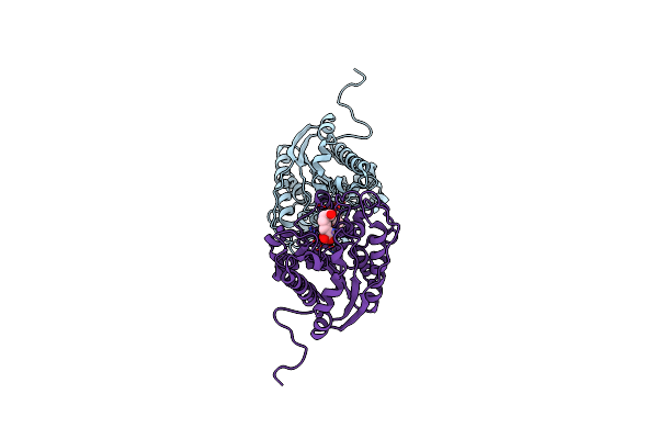 3THH image