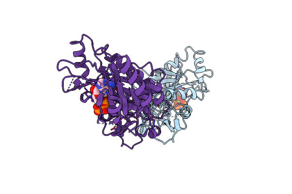 3TII image
