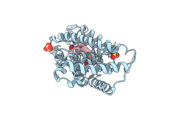 3TKC image