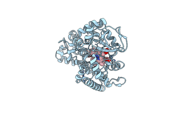 3TKT image