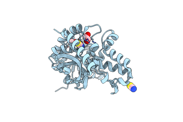 3TL2 image