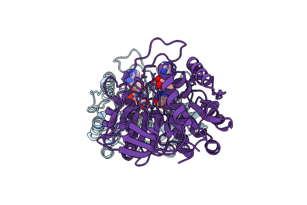3TLB image