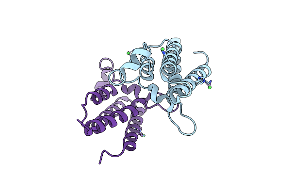 3TLP image