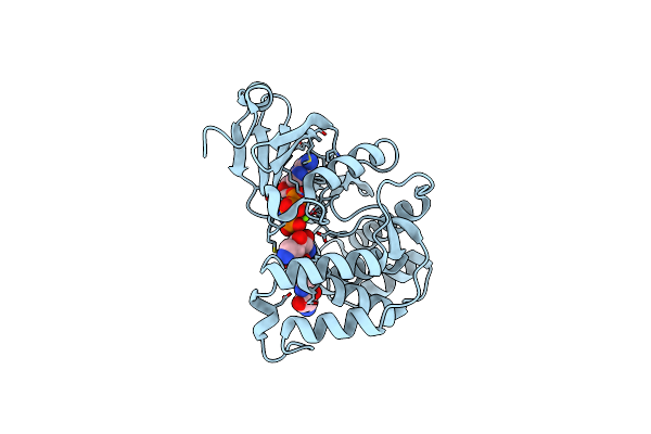 3TM0 image