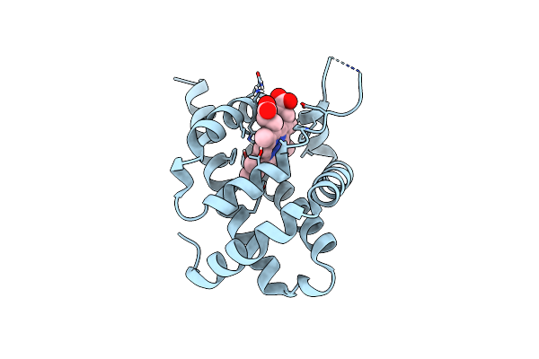 3TM3 image