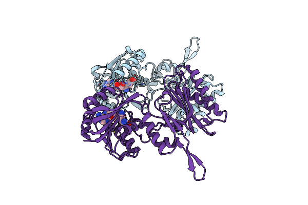 3TM5 image