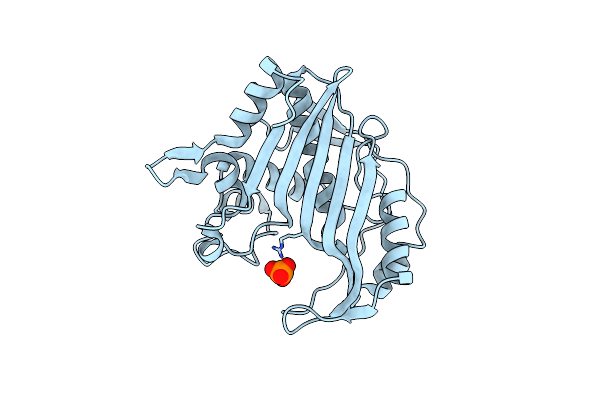 3TMS image