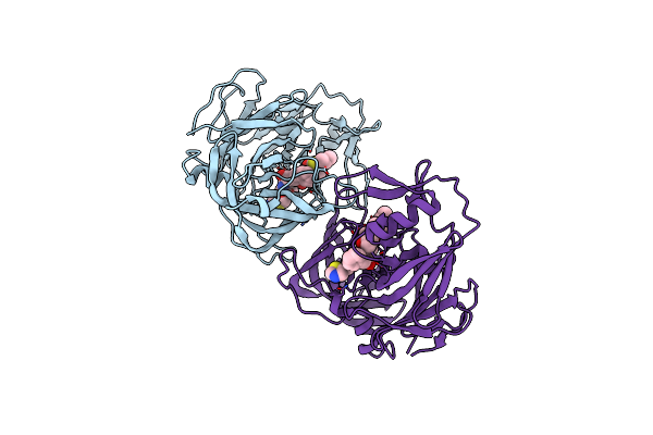 3TNE image