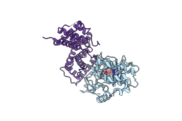 3TNH image
