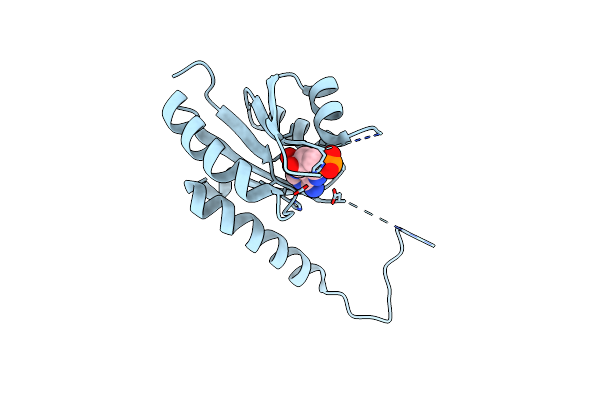 3TNJ image