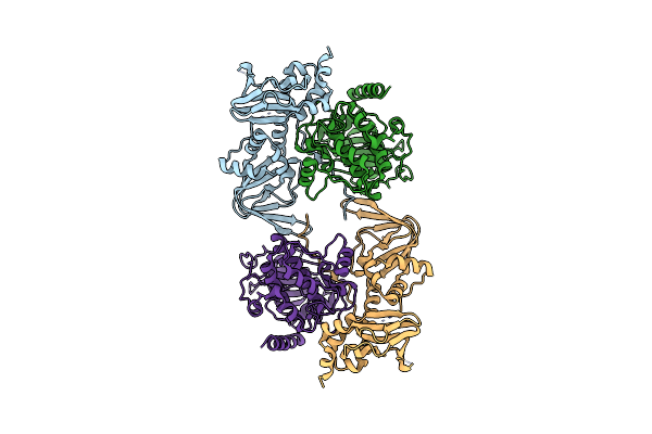3TNP image