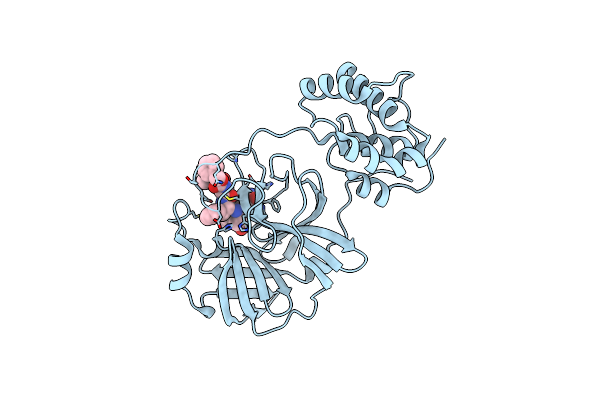3TNS image