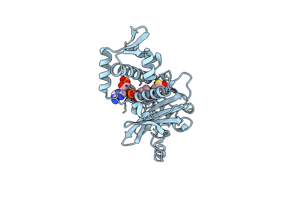 3TO6 image