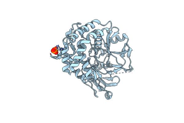 3TPD image