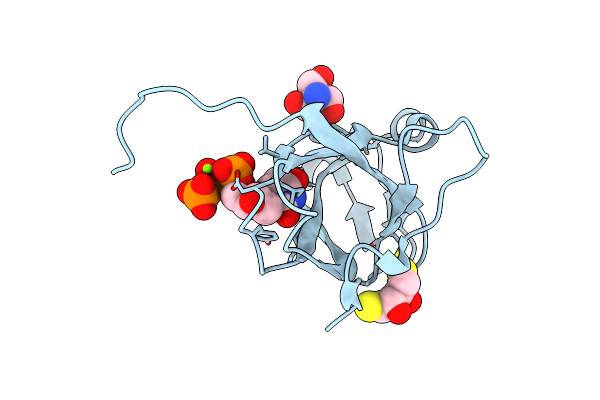 3TPN image