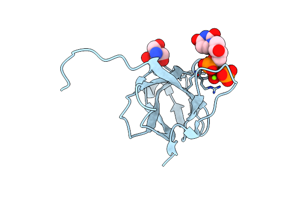 3TPS image