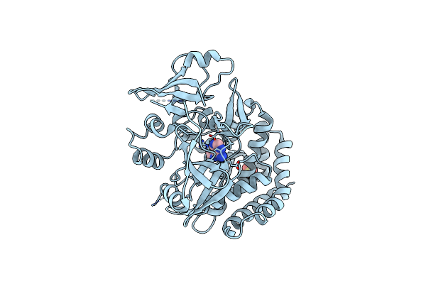 3TPV image