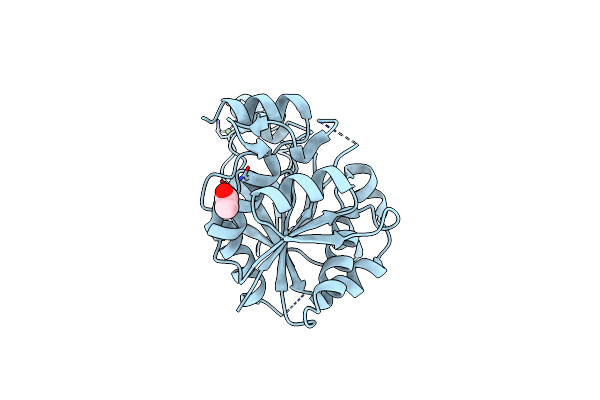 3TQD image