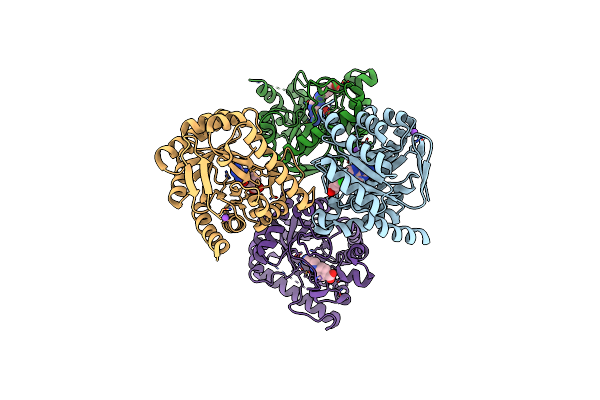 3TR9 image