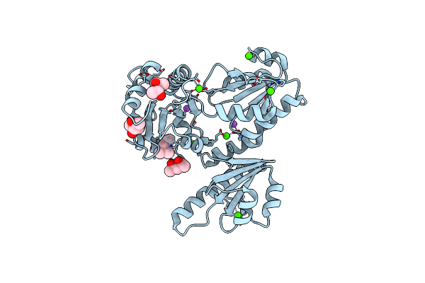 3TRP image