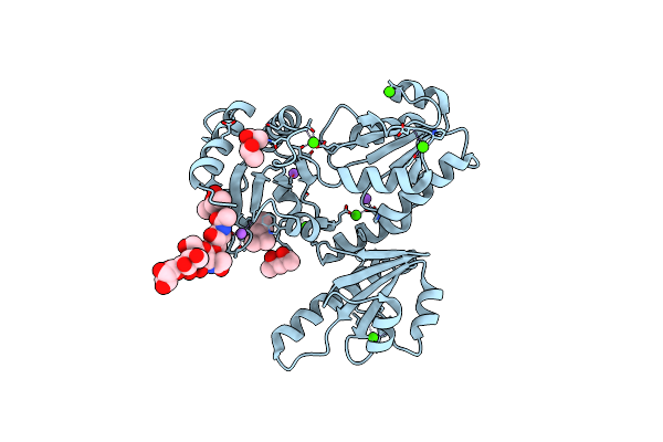 3TRQ image